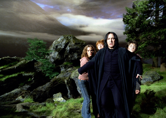 Severus Snape, Hermione Granger, Ron Weasley, and Harry Potter in a rocky landscape