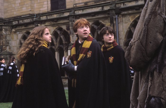 Hermione, Ron, and Harry from Harry Potter