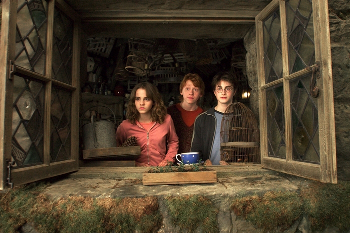 Hermione Granger, Ron Weasley, and Harry Potter from Harry Potter