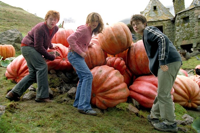 Ron Weasley and friends with pumpkins