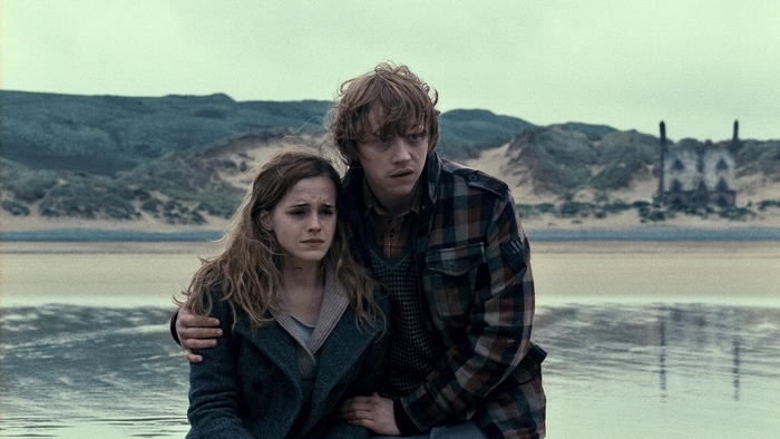 Hermione Granger and Ron Weasley from Harry Potter