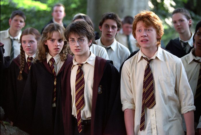 Ron Weasley and Harry Potter from Harry Potter