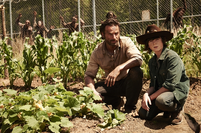 Carl Grimes from The Walking Dead