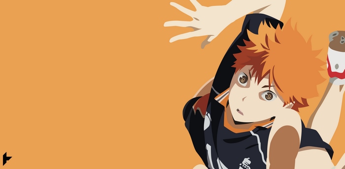 Shōyō Hinata from Haikyuu!!