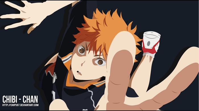 Shoyo Hinata from Haikyuu!!