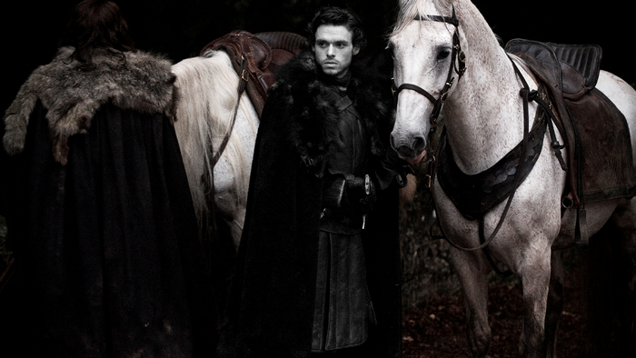 Robb Stark from Game of Thrones with horses