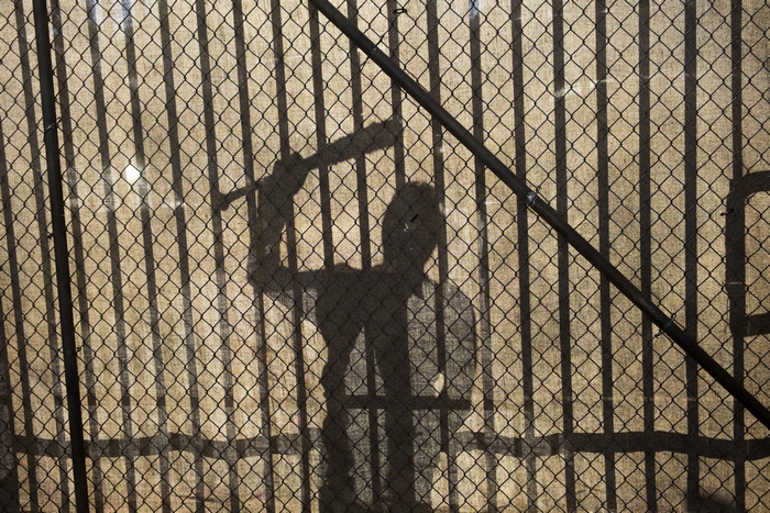 Shadow of Negan from The Walking Dead holding a bat