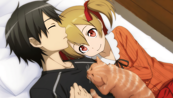 Kirito and Sinon from Sword Art Online sleeping with a cat