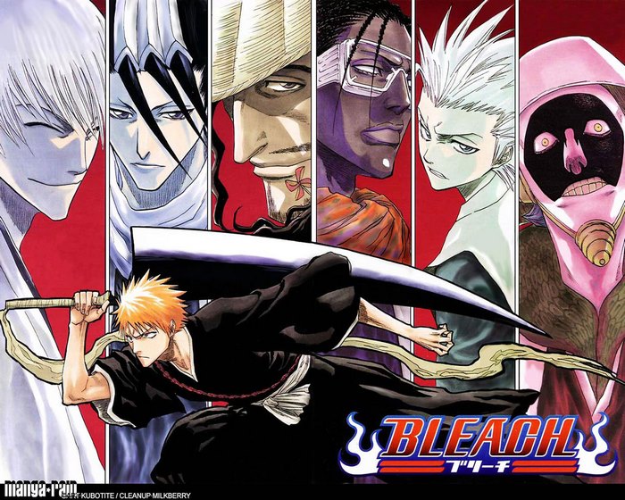 Bleach characters with Ichigo Kurosaki and Kaname Tosen