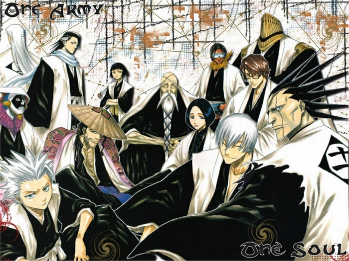Bleach characters in a group portrait