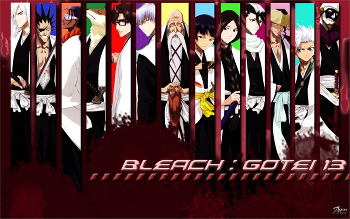 Bleach: Gotei 13 Shinigami
