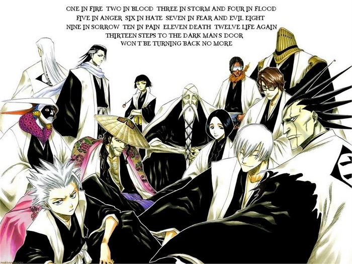 Bleach Captains and Lieutenants