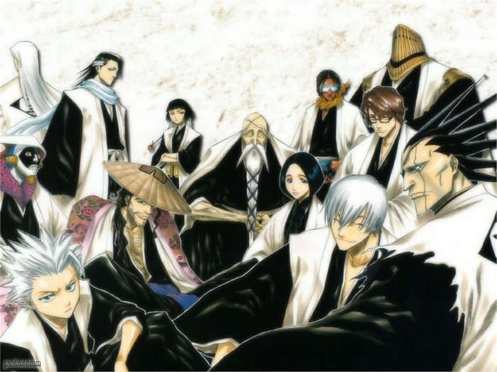Bleach Captains and Vice-Captains gathered