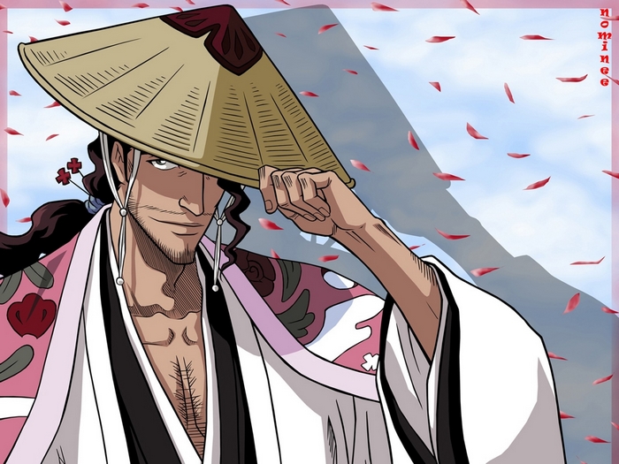 Shunsui Kyoraku from Bleach