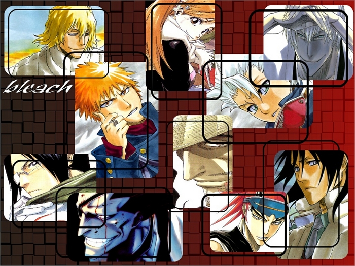 Bleach collage with multiple characters
