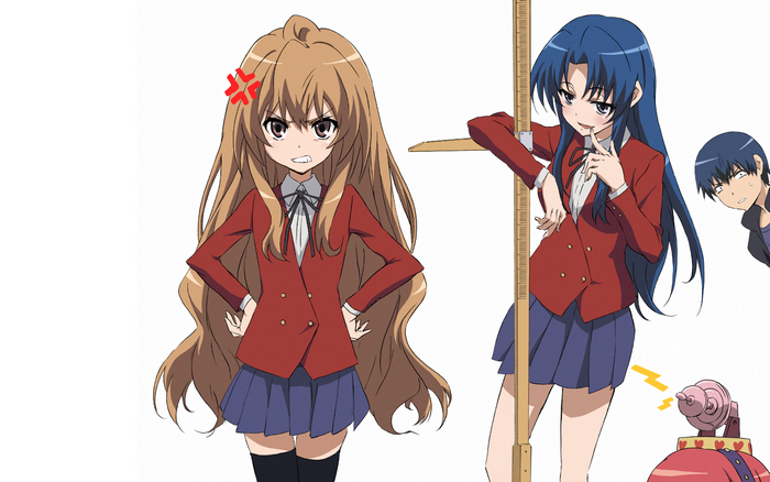 Taiga Aisaka and Minori Kushieda from Toradora!