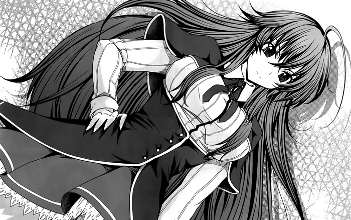 Rias Gremory from High School DxD