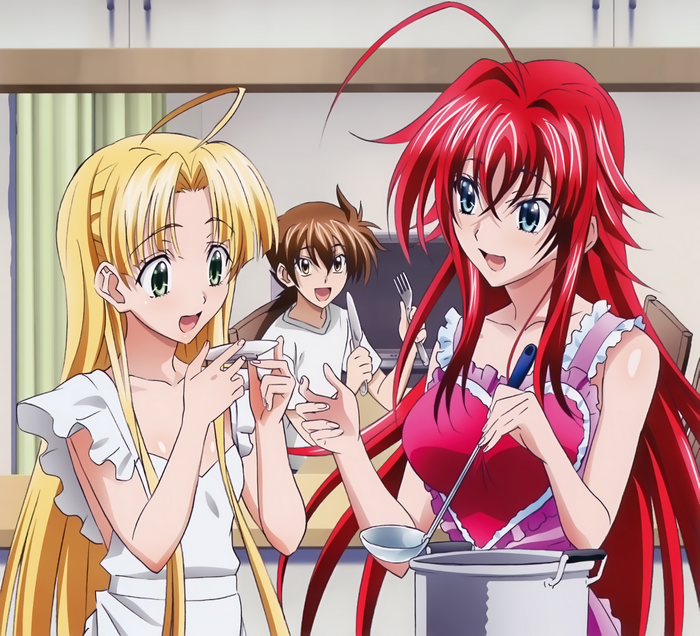 Rias Gremory and friends cooking
