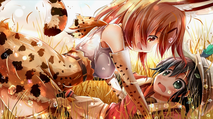 Serval from Kemono Friends in a field