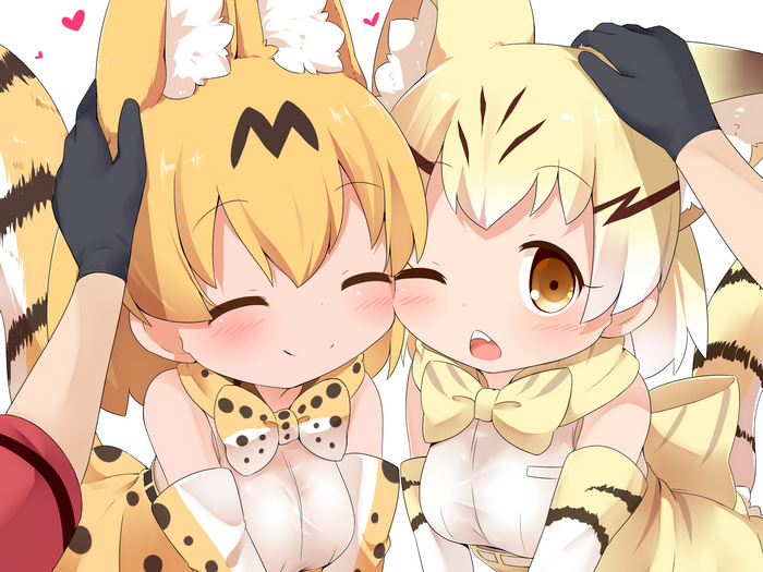 Serval and Caracal from Kemono Friends