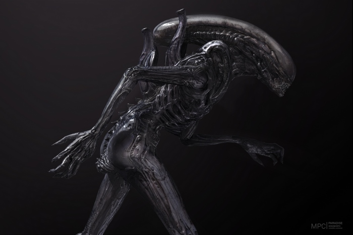Xenomorph from Alien