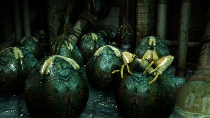 Xenomorph eggs and facehugger