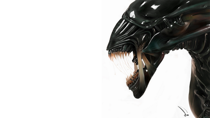 Xenomorph from Alien
