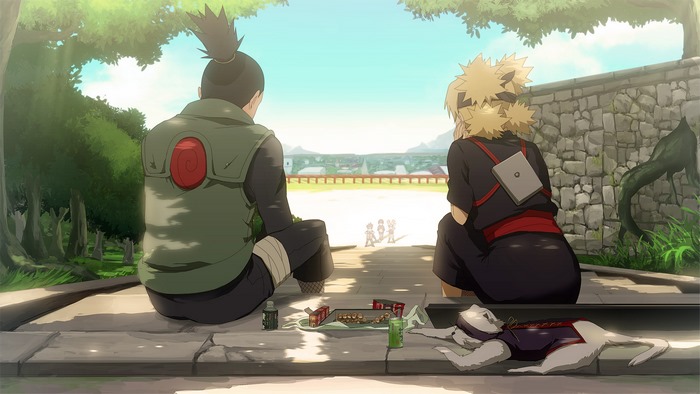 Shikamaru Nara and Temari from Naruto