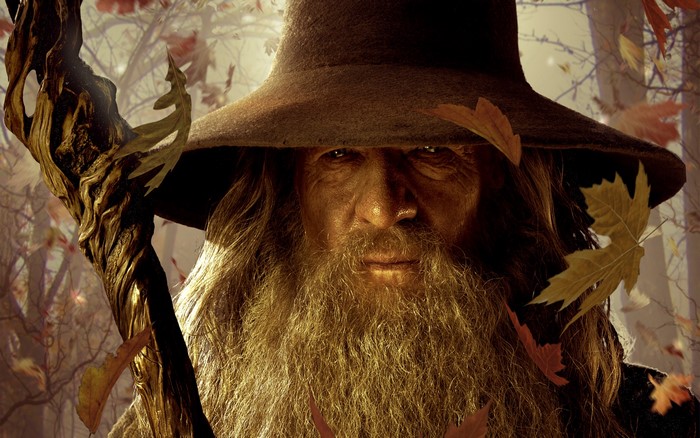 Gandalf from Lord of the Rings