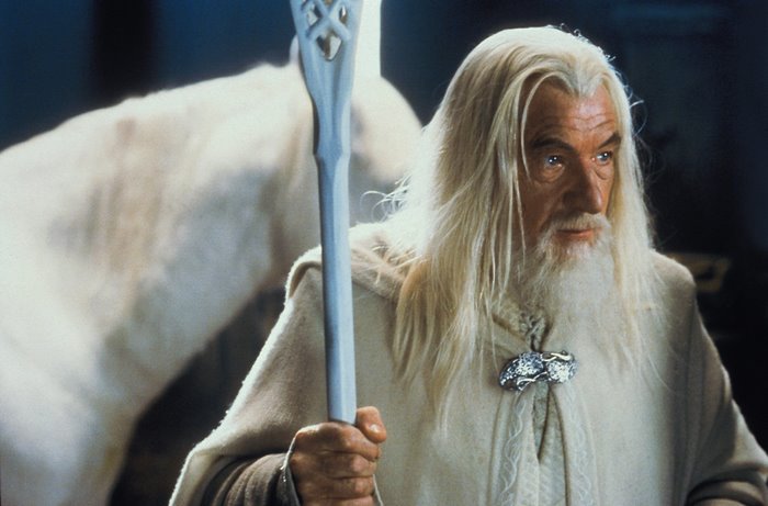 Gandalf from Lord of the Rings