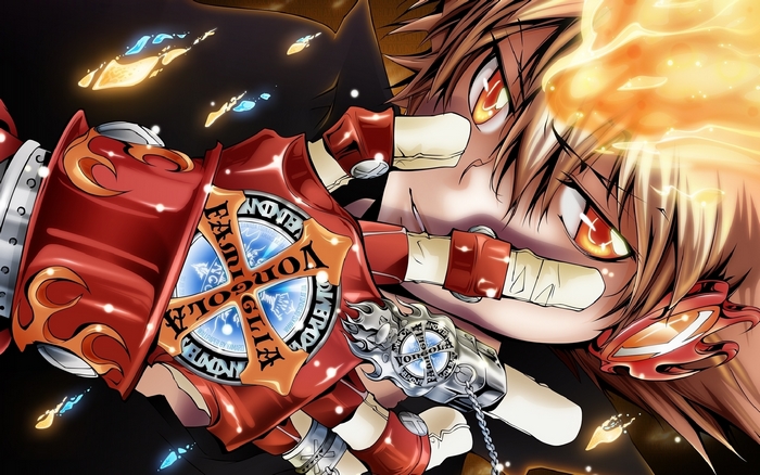 Tsunayoshi Sawada from Reborn!