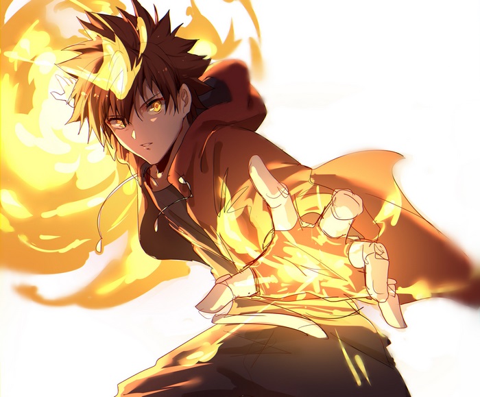 Tsunayoshi Sawada from Reborn!