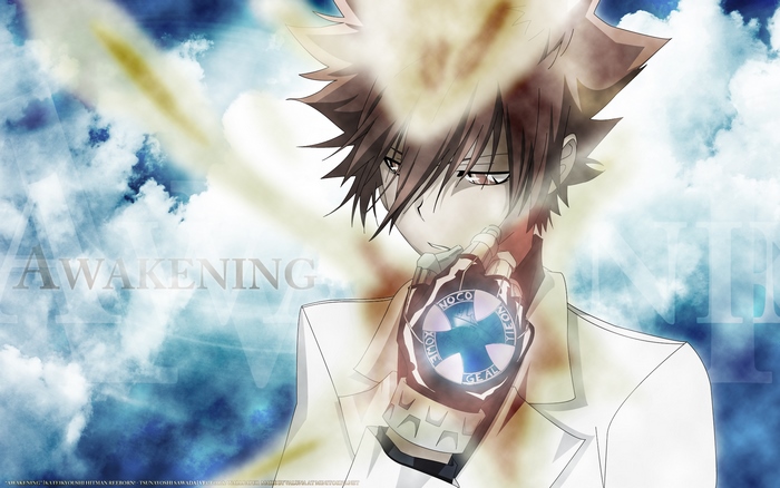 Tsunayoshi Sawada from Katekyo Hitman Reborn!
