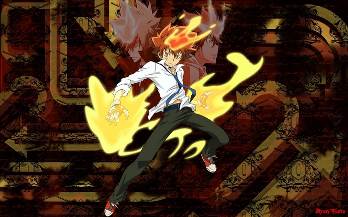 Tsunayoshi Sawada from Reborn!