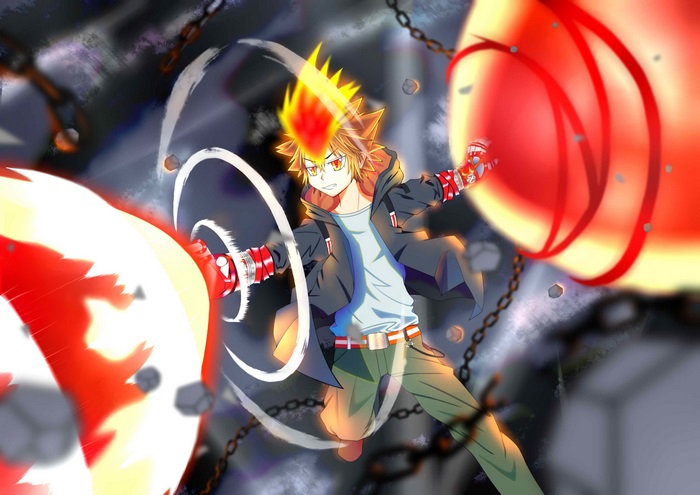 Tsunayoshi Sawada from Reborn!