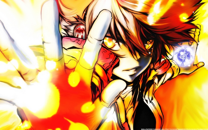Tsunayoshi Sawada from Reborn!