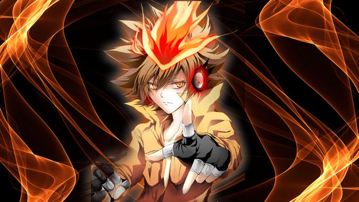 Tsunayoshi Sawada from Reborn!