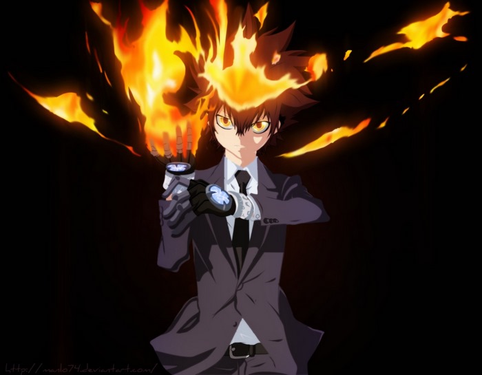 Tsunayoshi Sawada from Reborn!