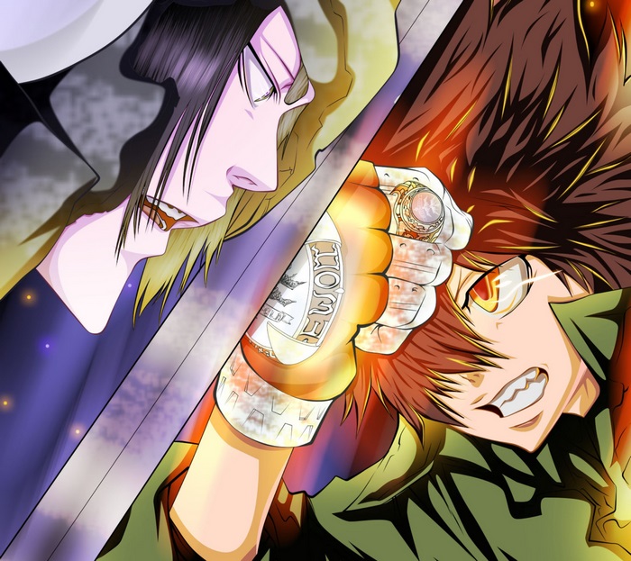Tsunayoshi Sawada and Byakuran from Reborn!