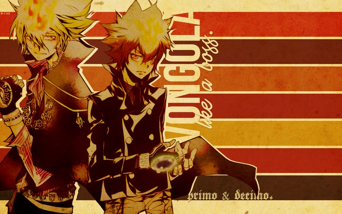 Tsunayoshi Sawada from Reborn!