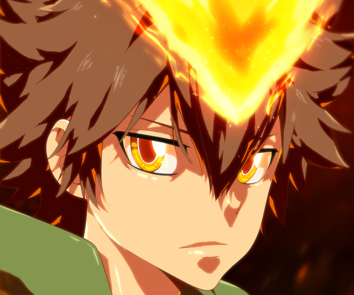 Tsunayoshi Sawada from Reborn!