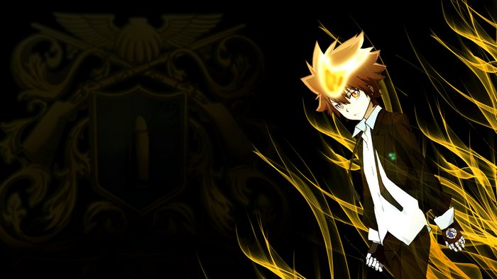 Tsunayoshi Sawada from Reborn!
