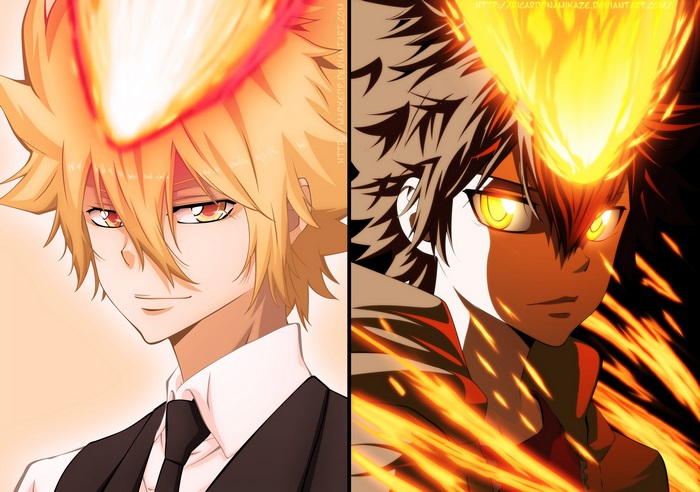Tsunayoshi Sawada from Reborn!