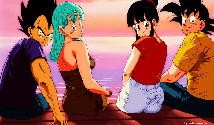 Vegeta, Bulma, Chi-Chi, and Goku from Dragon Ball