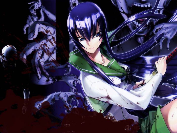 Saeko Busujima from Highschool of the Dead