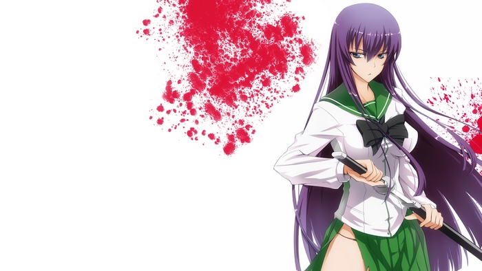 Saeko Busujima from Highschool of the Dead