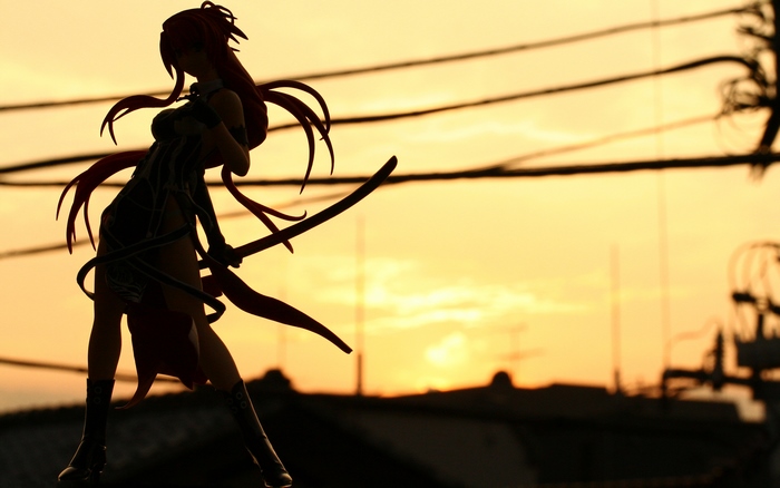 Saeko Busujima silhouette with sword at sunset