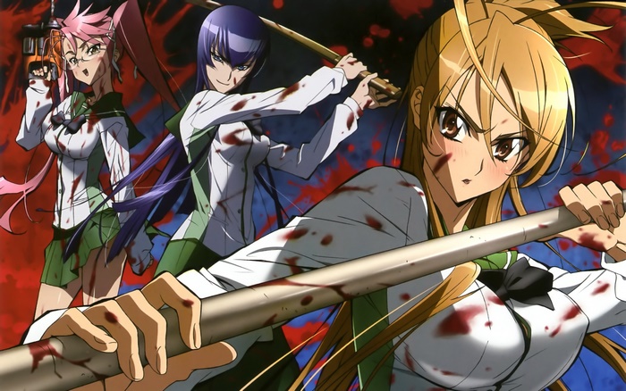 Saeko Busujima from Highschool of the Dead