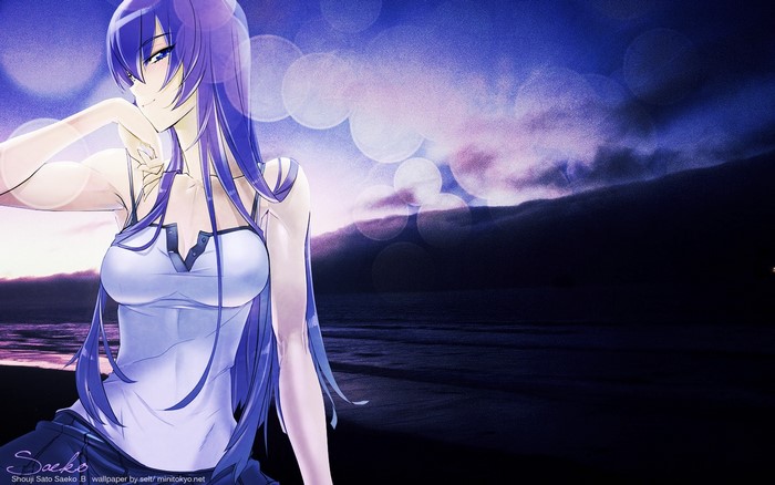 Saeko Busujima from Highschool of the Dead