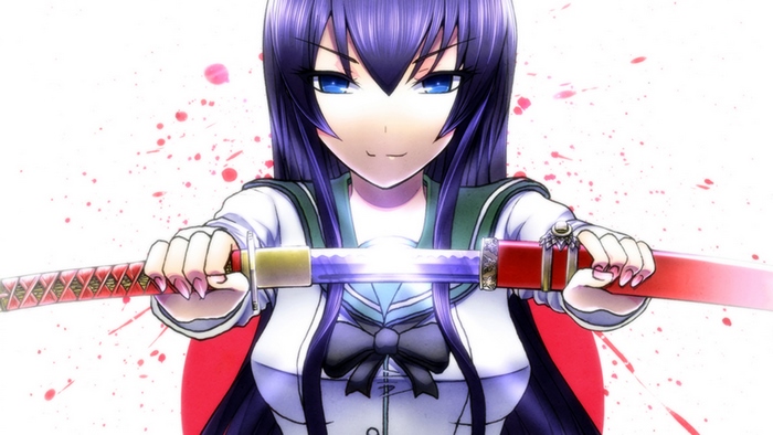 Saeko Busujima from Highschool of the Dead